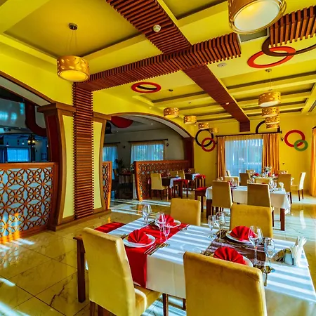 Senza The & Avsallar