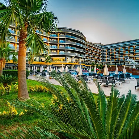 Senza The & 5* Avsallar