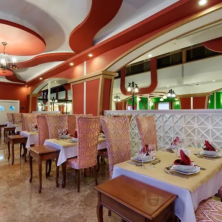 Senza The & 5* Avsallar