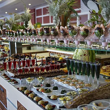 Senza The & Otel Avsallar