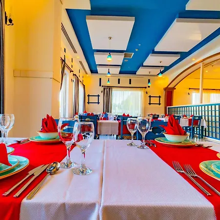 Senza The & 5* Avsallar