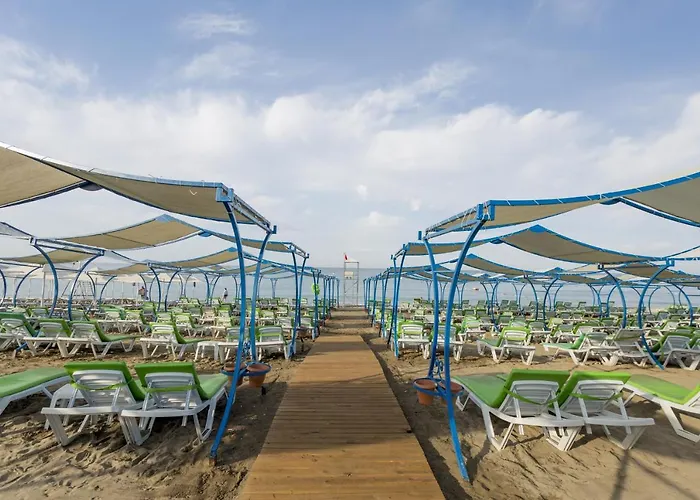 Senza The & 5* Avsallar